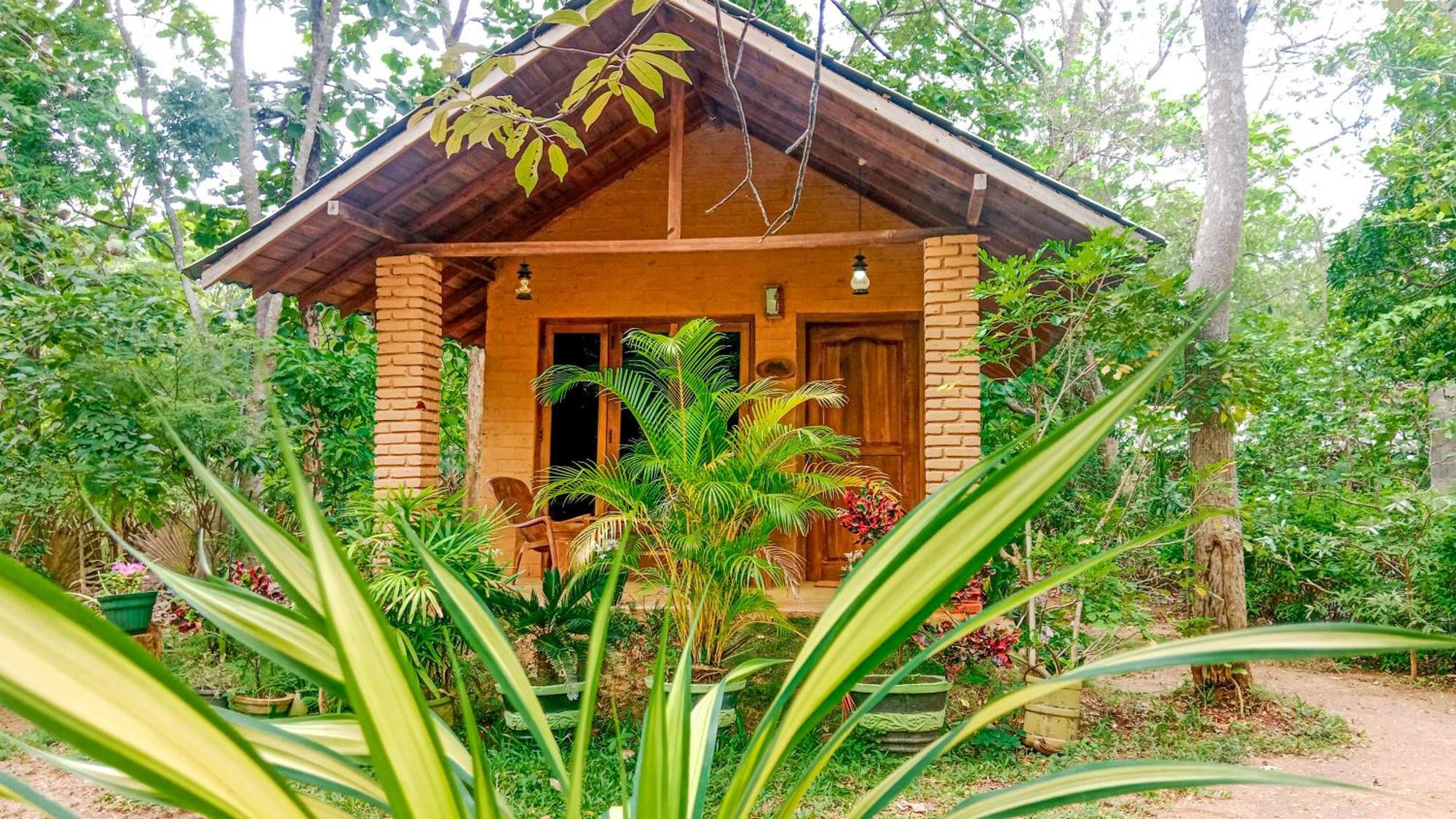 Lotus Eco Villa สิกิริยา ภายนอก รูปภาพ