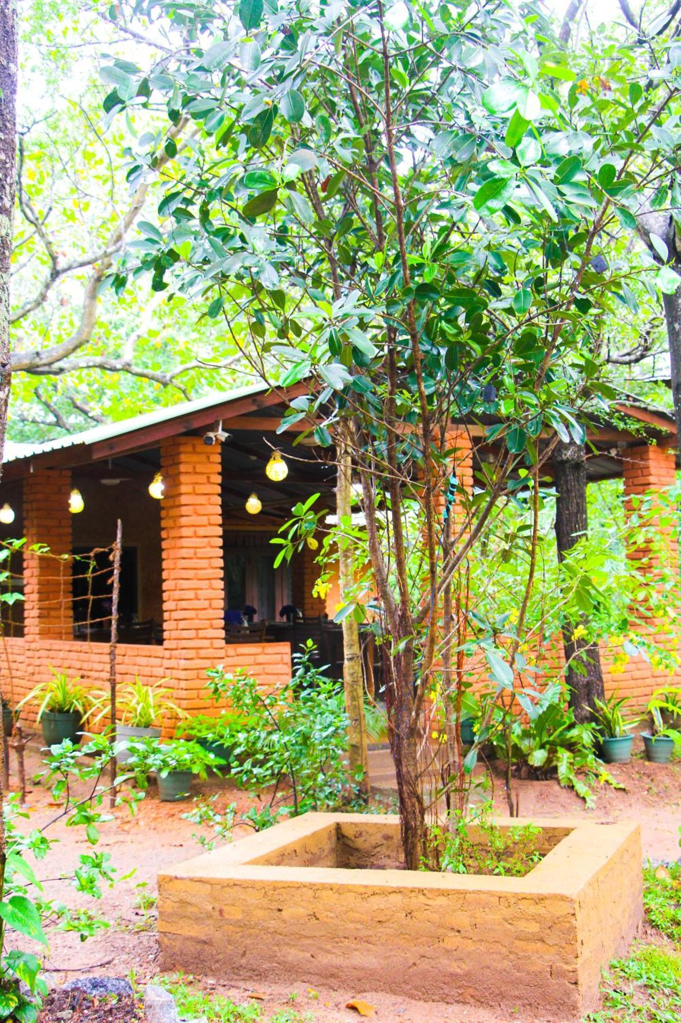 Lotus Eco Villa สิกิริยา ภายนอก รูปภาพ